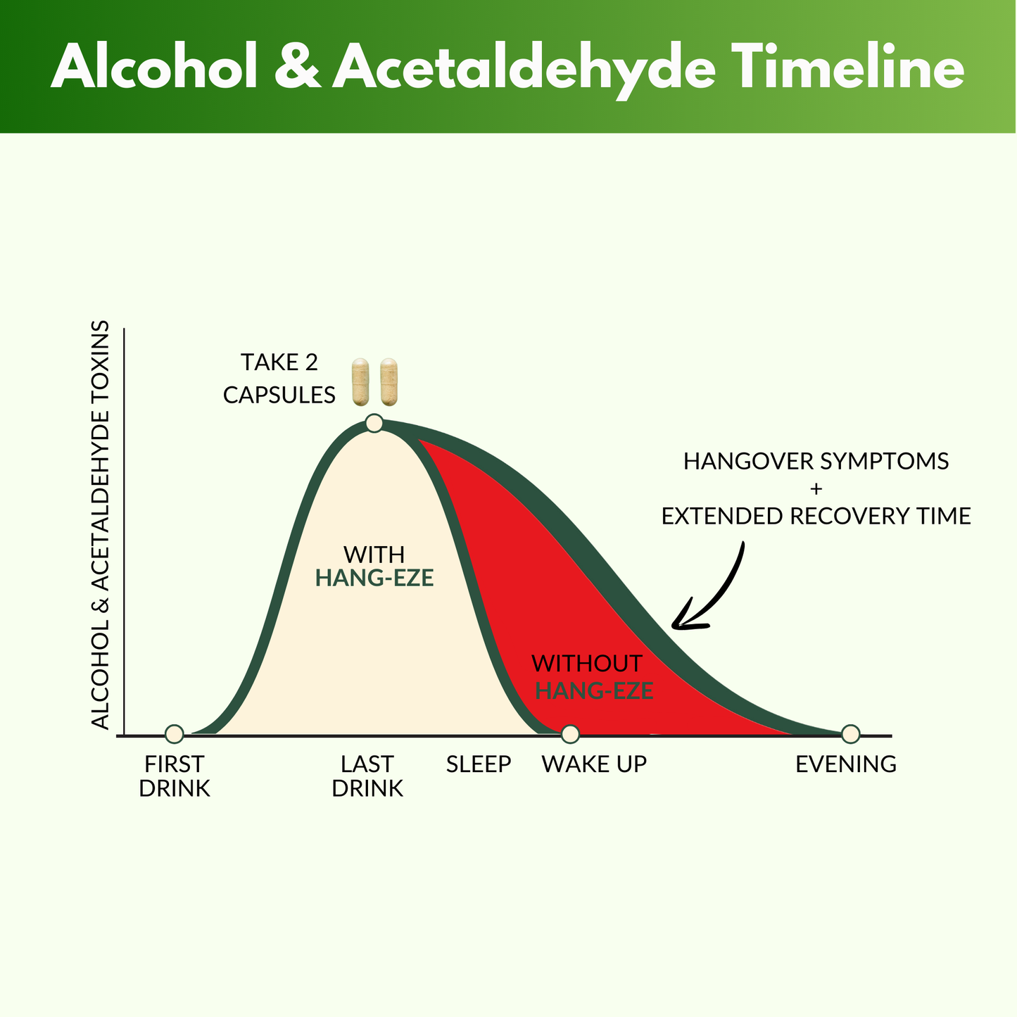 Hangover Relief - Stock Up & Save Pack