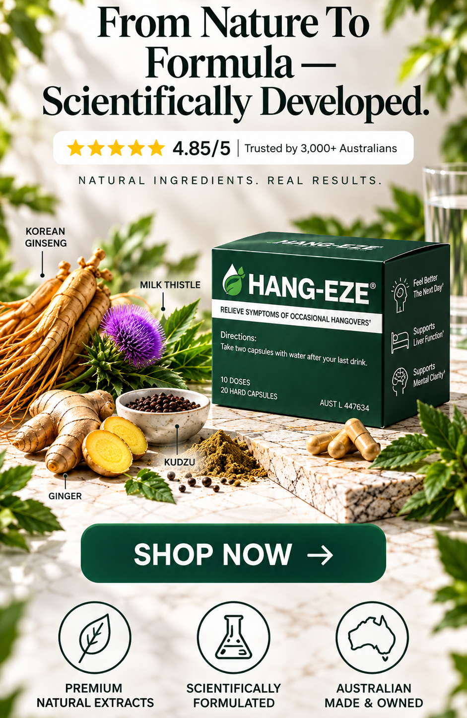 hang-eze banner